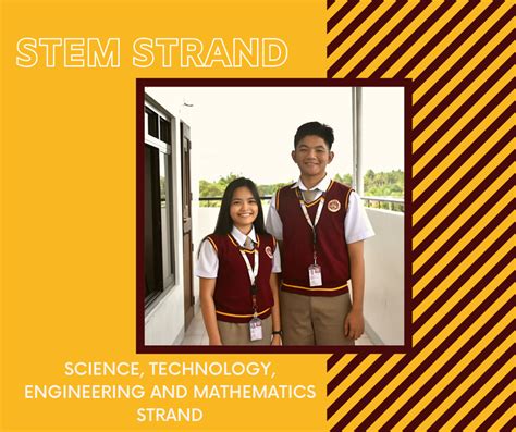 best school for stem strand philippines|STEM .